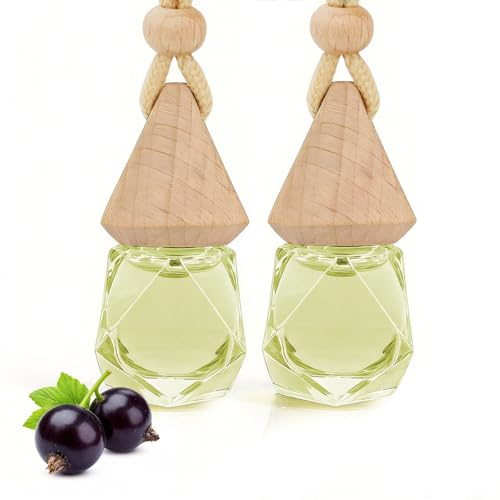 Forêt enchantée Bouteille de Parfum de Voiture,Diffuseur de Parfum Suspendu pour Voiture,Désodorisants pour Voiture,Parfum Voiture