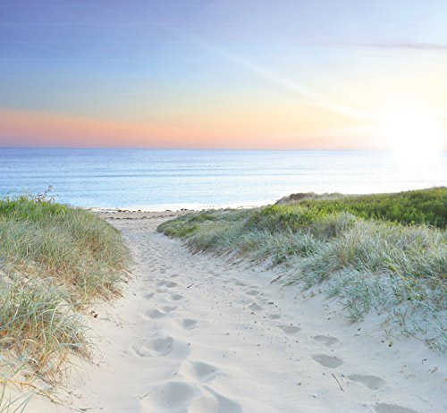 murimage Fototapete Meer Strand Dünen 274,5 x 254cm Weg Pfad Sonnenuntergang Ostsee Nordsee Tapete 120 inklusiv Kleister livingdecoration