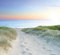 murimage Fototapete Meer Strand Dünen 274,5 x 254cm Weg Pfad Sonnenuntergang Ostsee Nordsee Tapete 120 inklusiv Kleister livingdecoration