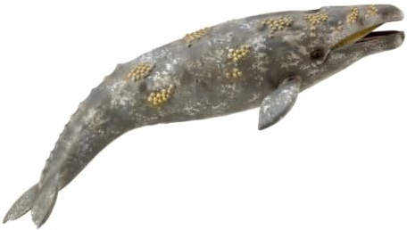 Collecta 4892900888361