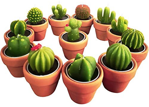Sukkulenten-Kerzen, Kaktus-Teelicht, Babyparty-Dekoration, für Partys, Terrarium, Kakteen