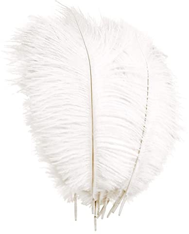 YuZhou 10 PCS Natural Ostrich Feathers, 20-25cm/7.9-9.8inch Wedding Feathers Plume Feather Party Table Feathers Dyed Ostrich Feathers White Feathers Feathers for Centerpieces for Home Wedding Party