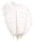 YuZhou 10 PCS Natural Ostrich Feathers, 20-25cm/7.9-9.8inch Wedding Feathers Plume Feather Party Table Feathers Dyed Ostrich Feathers White Feathers Feathers for Centerpieces for Home Wedding Party