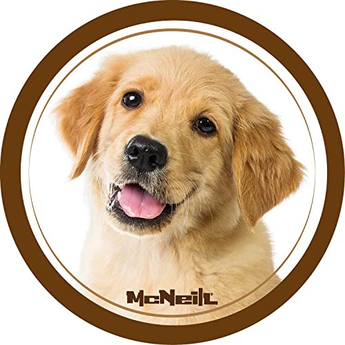 McNeill McAddy Hund Braun