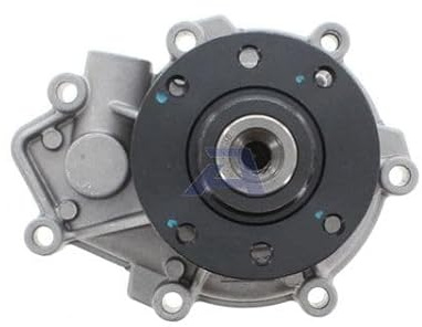 AISIN WPO-005 Kühlung