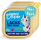 Edgard & Cooper Getreidefreie Lachs- und Huhn-Paté für Katzen 16x85g, Frisches Fleisch &,Natürliche Zutaten