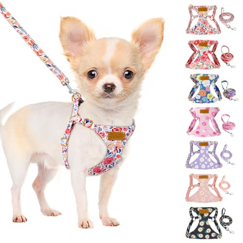 SlowTon Hundegeschirr mit Leine, No-Pull leichtes weiches Wildleder-Welpengeschirr mit Blumenmuster und Schnappschnalle, verstellbares Geschirr Hund für kleine und mittelgroße Hunde(Blumen, XXS)