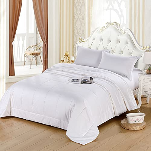 Since Silk Seide Bettdecke 100% Maulbeerseide, Anti-Allergie Natürliche Lange Strang Reine Seide gefüllt, Weiche Atmungsaktiv Seidengefüllte Bettdecke - Doppel (200 x 200cm)