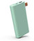 Fresh 'n Rebel Powerbank 12000 mAh USB-C | Tragbares Ladegerät/Externer Akku - 2-ports USB-C & USB für iPhone, iPad,Huawei,Samsung, Nexus, HTC und mehr – Misty Mint