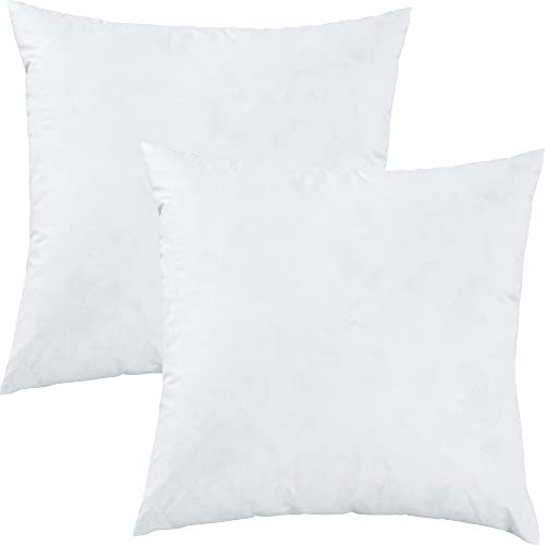 Erwin Müller Kissenfüllung Riga 2er-Pack 100% Federn weiß Größe 40x40 cm