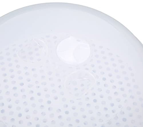 Vaporiera, Forno a microonde multiuso Bianco per la casa per panini al vapore(Ampio doppio strato)