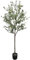 Dyflora Künstlicher Olivenbaum 150 cm – Mediterrane Kunstpflanze im Topf, naturgetreu & pflegeleicht – Deko-Baum für Wohnzimmer, Büro & Innenbereich
