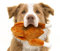 Weihnachten Braten Huhn Groß Plüsch Hundespielzeug Truthahn Plüsch Hundespielzeug Quietschspielzeug für Hunde Katzen Haustiere Weich Geröstete Truthahn Plüsch Haustier Welpe Katze Hundespielzeug