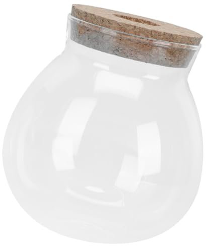 Mipcase Mini Bouteille Décorative en Verre pour Aménagement Paysager 11 X 10 Cm