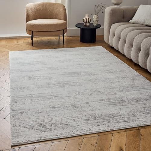 THE RUGS Carmel Modern Area Rug - Stain-Resistant, Non-Shedding, Durable Rugs for Living Room and Bedroom [ Marble Effect Grey, 80x150cm ]