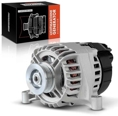 Frankberg Alternatore Generatore Benzina 23266, 46542889