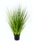 Flair Flower Gras Im Topf, Kunststoff, Grün, 60 x 20 x 20 cm