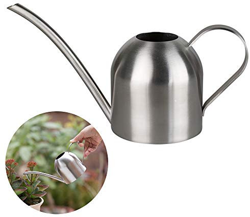 Gießkanne aus Edelstahl, klein, lange Öffnung, Gießkanne für Haus, Innen- und Außenbereich, Garten, Sukkulenten, 500 ml (Silber)