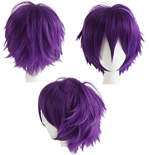 Gairyan Perücke Violett Perücke Damen Unisex Anime Cosplay Wig Kurze Synthetische Perücke Frauen Herren Gerade Perücken Halloween Perücke Karneval Kostüm Themen Party Kostüm