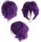 Gairyan Perücke Violett Perücke Damen Unisex Anime Cosplay Wig Kurze Synthetische Perücke Frauen Herren Gerade Perücken Halloween Perücke Karneval Kostüm Themen Party Kostüm