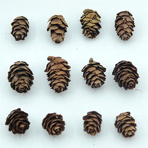 SAMEZA 50pcs Naturel Pas Cher Mini Noix De Pin Artificielle Faux Fruits Légumes pour La Maison Décoration De Mariage Décoration d'arbre De Noël, Pignons De Pin