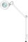 Lampada da tavolo a LED con ingrandimento 8X illuminata con morsetto a braccio girevole per la lettura di bellezza medica Lampada LED d'ingrandimento Lampada luce fredda Lampada LED per lettura