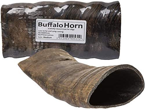 JR Pet Products Medium Buffalo Horn. Long Lasting Dog Chew