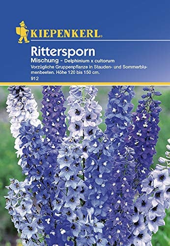Kiepenkerl Rittersporn mehrjährig, Mischung