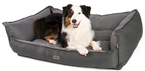 JAMAXX Premium Hundebett - Orthopädisch Memory Visco Füllung, Extra-Hohe Ränder, Waschbar, Nässe-Schutz, Hochwertiger Stoff mit viel Eleganz, Hundesofa PDB2018 (L) 120x90 anthrazit