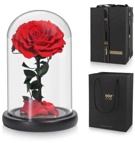 Lian Konservierte Blume echte Rose in Glaskuppel Geschenke für Frau | Romantische Konservierte Rosen nie Verwechselt Valentinstag, Muttertag, Geburtstag, Jubiläum, Hochzeit und Weihnachten
