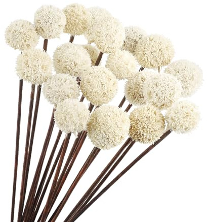 Larber 20PCS Natürliche Getrocknete Craspedia Billy Balls,43CM Billy Ball Craspedia-Strauß Blumen Natürliche Getrocknete Blumen Bouquet für Vase Floral Arrangements Hochzeitstisch