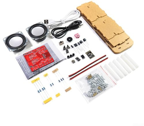 Bauen Sie Ihr eigenes Stereo-Lautsprecher-Set, umfassendes DIY-Erlebnis mit transparentem Design und USB-Netzteil (mit Gehäuse)
