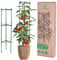 2 Supporti Per Pomodori | Aiuta Le Tue Piante A Crescere | Gabbie E Supporti Piante | Regolabile | Supporto Pomodori | Traliccio Pomodori | Per Piante E Verdure Rampicanti Verticali