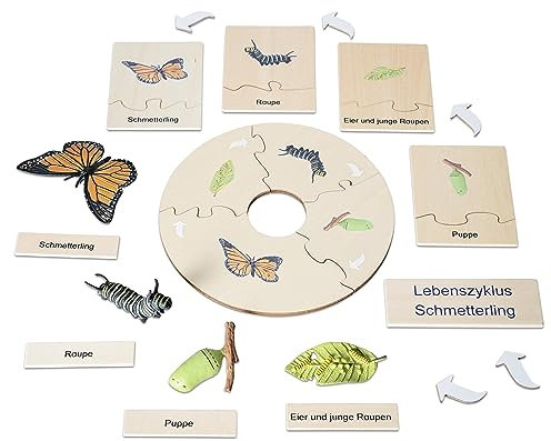 Betzold Lebenszyklus Schmetterling - Holz-Puzzle Figuren Textkarten Deutsch & Englisch