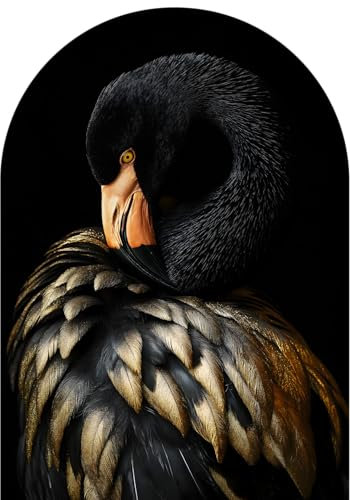 STYLER Glasbild Black Flamingo 70x100 cm – Exklusives Kunstwerk mit dunkler Eleganz & Goldakzenten – Hochwertige Bogenform für stilvolle Räume