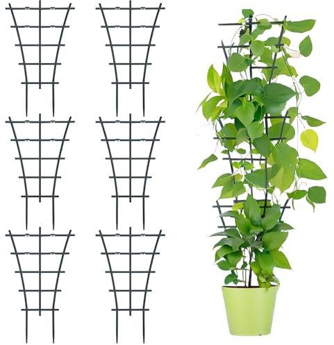 6 Stück Rankhilfe,Rankgitter,Rankhilfe Garten,Rankhilfe Zimmerpflanzen,Spalier Rankgitter,Pflanzen Rankhilfe,Langlebig Korrosionsbeständig,Pflanzenstütze Zimmerpflanzen,Blumen,Weinreben,Fächerform
