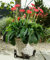 Potty Feet Cocker Spaniel Figures Plant Pot Feet - Planter Support - Handmade Decorative Ornaments - 3pcs