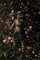 Pyramid International Nicebleed Poster Garden Delights