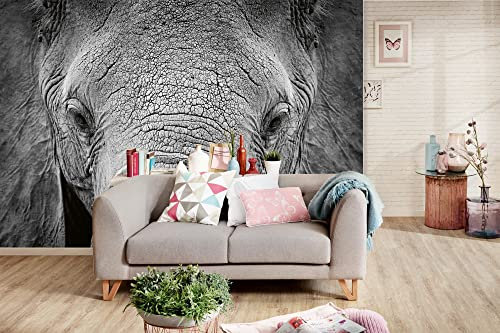 Vlies Fototapete AFRIKANISCHER ELEFANT 375 x 250 cm (inkl. Kleister) - Vlies Tapete, Wandtapete, Wandbilder - Tapete für Wohnzimmer Schlafzimmer, Büro, Küche - Montagefertig