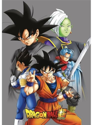Dragon Ball Plaid Polaire DBZ - Tous Les Personnages - Gris,