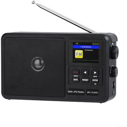 Mini Pocket Radio, Versatile Portable ABS Internet Radio With FM And DAB+ Built-in Clock Sleep Timer For Outdoor Activities Travel, Black 22 * 13 * 7CM