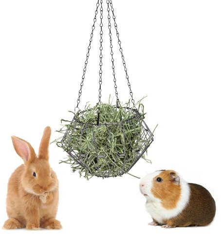 GHWMYD Kaninchen Heuraufe, Hasen Futterstation, Meerschweinchen Spielzeug Zubehoer, Food-Ball für Zwerg Hamster Rennmäuse Degus Stachelmäuse Kaninchen