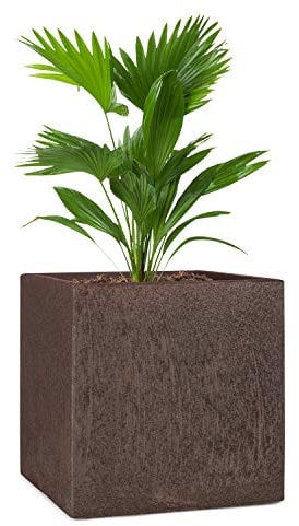 blumfeldt Solid Grow Rust - Pflanzgefäß Pflanzkübel Pflanzkasten, Material: Fibreclay, UV- & Frostschutz, witterungsbeständig, für drinnen und draußen, rostfarben, 40 x 41 x 40 cm (BxHxT)