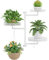 OVICAR Estantes giratorios para plantas con ventana, soporte para plantas de pared para interiores, soporte de metal floral para múltiples plantas con ganchos para colgar, decoración del hogar, color