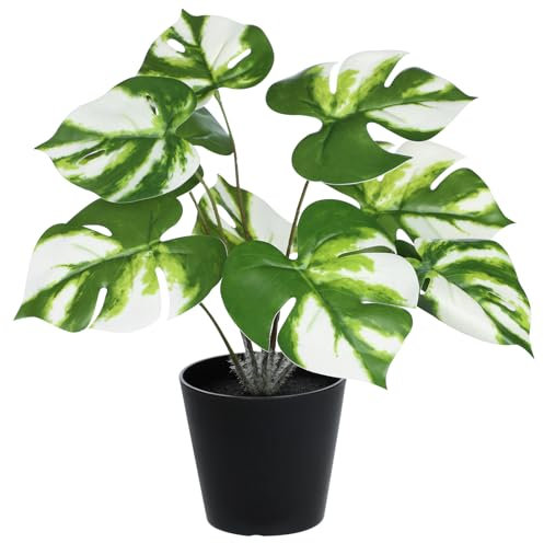 Hollyone Künstliche Monstera Pflanze Klein Zimmerpflanze Gefälschte Topfpflanze Tropische Deko Pflanzen im Topf Weiß für Home Office Küche Schreibtisch Tisch Bücherregal Dekoration