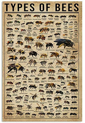 Types and Sizes of Bees,12 * 8 Inches Vintage Funny Poster Wall Decor Art Gift Retro Picture Metal Sign