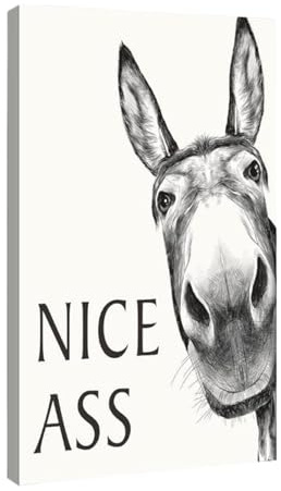 Funny Donkeys Wall Art Nice Ass, Framed Art Bathroom Wall Decor, Nice Ass Funny Quotes Vintage Middle Ages Abstract Farmhouse Home Canvas Print Posters for Toilet, Restroom, Bathroom, Washroom Decor