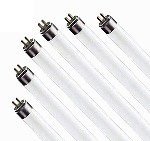 Circle (6 Pack F17T8/841 17W 24 Inch T8 Fluorescent Tube Light Bulb, 4100K Cool White, Medium Bi-Pin (G13) Base, 17 Watt T8 Light Bulbs
