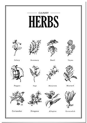 Panorama Poster Herbes Aromatiques 21x30 cm - Imprimée sur Poster de Haute qualité de 250gr - Tableau Décoratif Mural - Tableau Plantes Vertes - Affiche Botanique- Tableau Decoration Murale Nature
