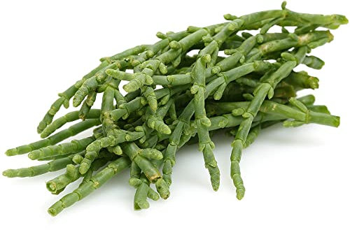 Semi di piante di asparagi di mare - Salicornia europaea - Serie di piante rare - Piante decorative Aiuola di erbe per interni per gli amanti del giardino Decorazione 50 Pezzi